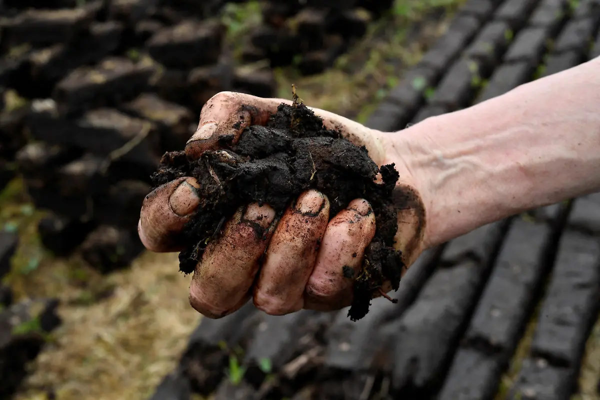 2025-06-07T113507Z-658084896-RC2EEU9ARTD0-RTRMADP-3-IRELAND-ENERGY-PEATLANDS