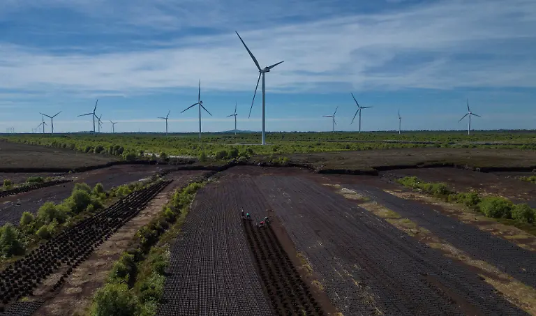 2025-06-07T113503Z-432330468-RC2GE8A4XVZK-RTRMADP-3-IRELAND-ENERGY-PEATLANDS