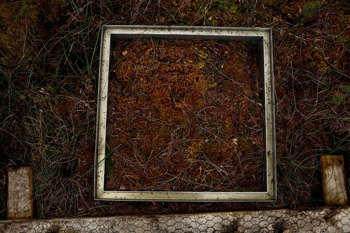 2025-06-07T113533Z-1720149301-RC29G7ABA4L9-RTRMADP-3-IRELAND-ENERGY-PEATLANDS