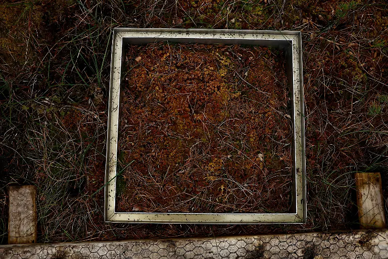 2025-06-07T113533Z-1720149301-RC29G7ABA4L9-RTRMADP-3-IRELAND-ENERGY-PEATLANDS