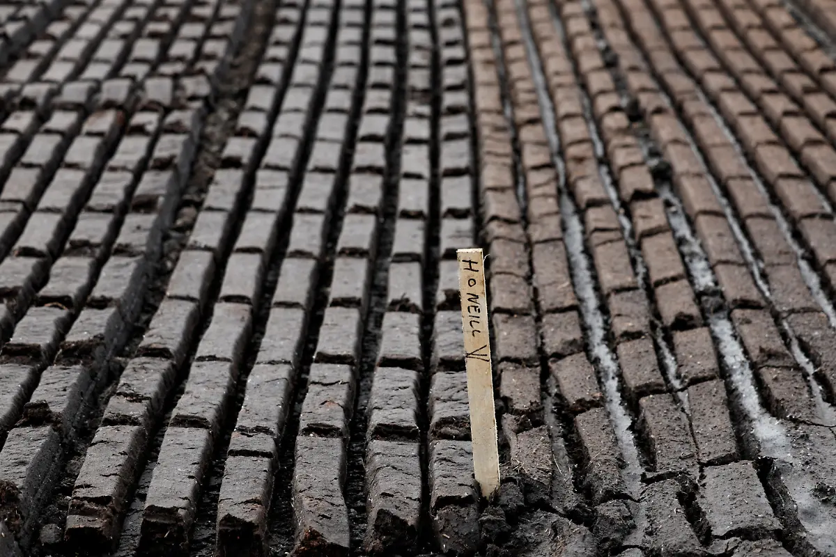 2025-06-07T113430Z-1171107309-RC2251A4ATH9-RTRMADP-3-IRELAND-ENERGY-PEATLANDS