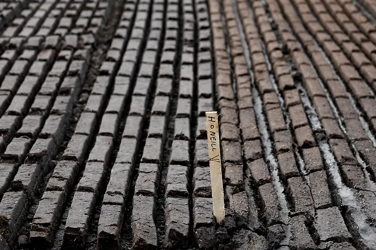 2025-06-07T113430Z-1171107309-RC2251A4ATH9-RTRMADP-3-IRELAND-ENERGY-PEATLANDS