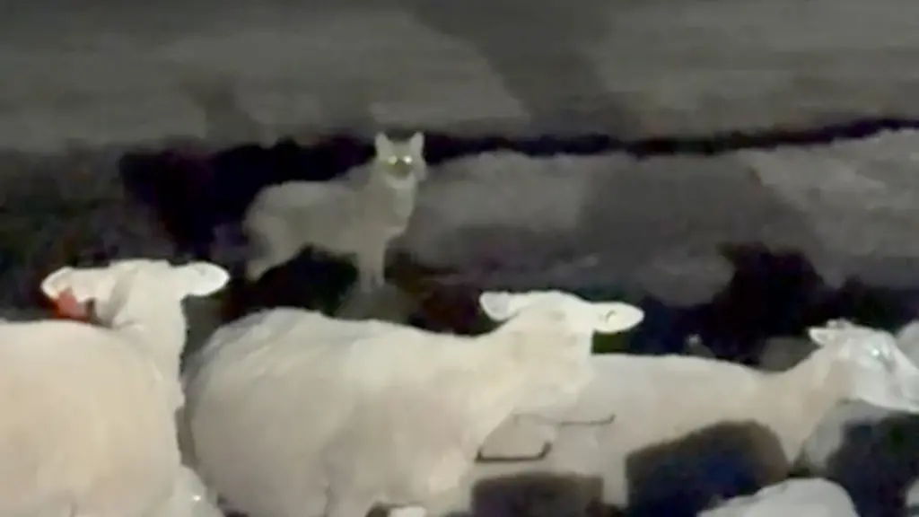 0e95dae94762e9d204925f1627e30773