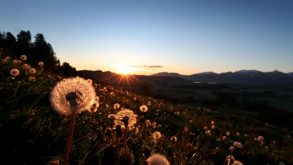 Wer-nach-Pfronten-will-kann-dort-mit-dem-Bergbus-hinfahren