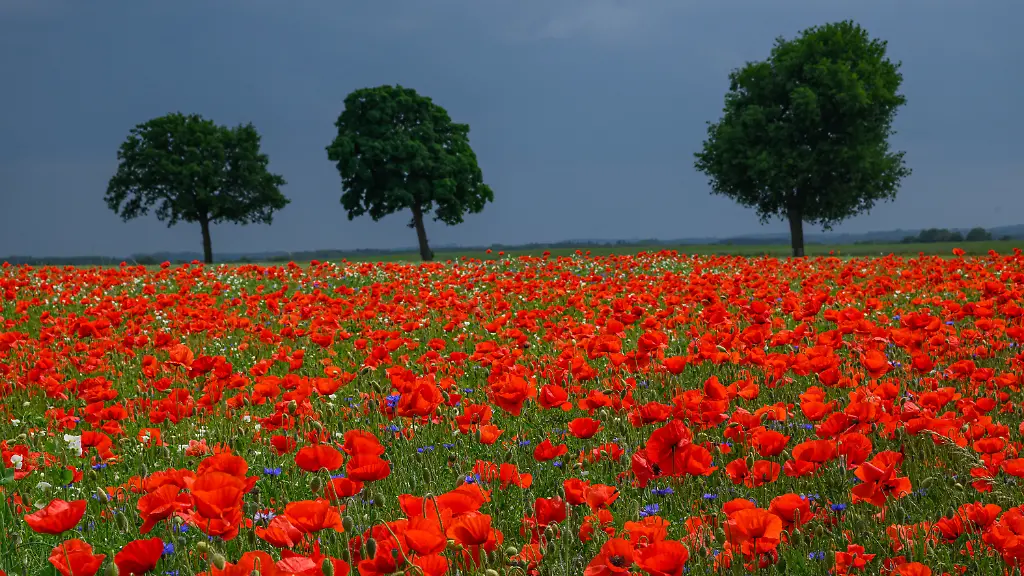 7f6793d2cc73cbe5efd044dff048e99c