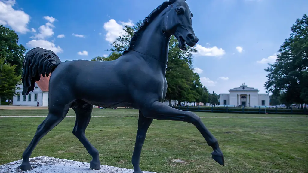 Eine-Privatisierung-des-Landgestuets-Redefin-die-der-Bund-der-Steuerzahler-fordert-wird-von-der-Regierungspartei-SPD-abgelehnt