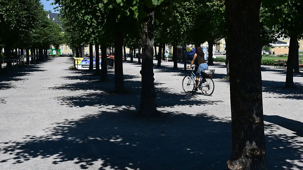 Baeume-sind-Schattenspender-Gesundheitsministerin-Stefanie-Drese-empfiehlt-in-ihrem-Hitzeschutzplan-fuer-MV-mehr-davon