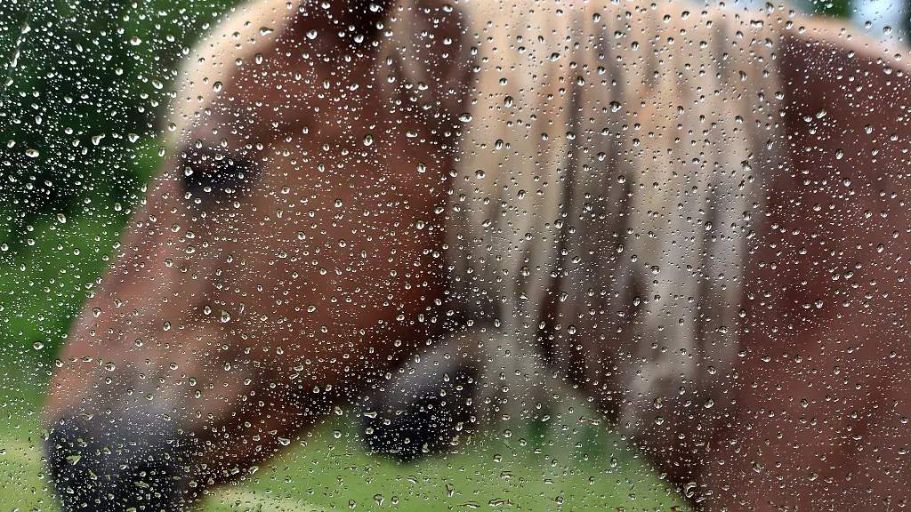 Es-wird-ungemuetlich-in-Teilen-Bayerns