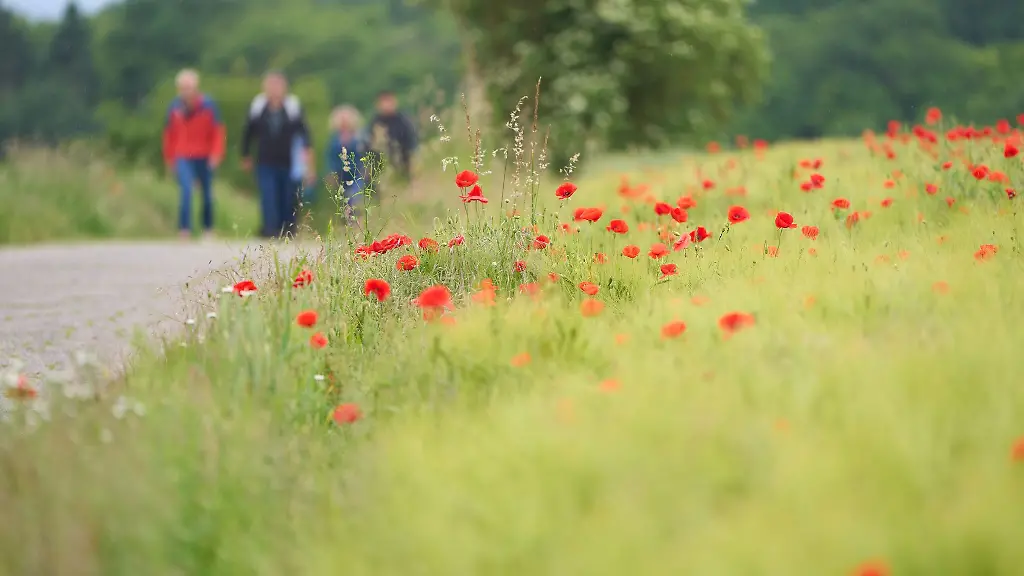 Raus-ins-Gruene-am-Brueckentag
