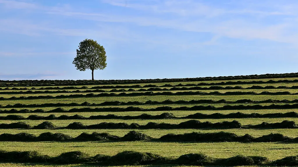 Am-Freitag-und-Samstag-wird-es-sonnig-und-warm-in-Bayern