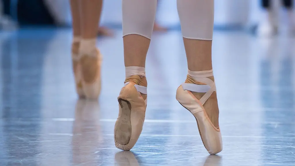 Der-Foerderverein-der-Palucca-Hochschule-fuer-Tanz-in-Dresden-feiert-jetzt-seinen-30-Geburtstag