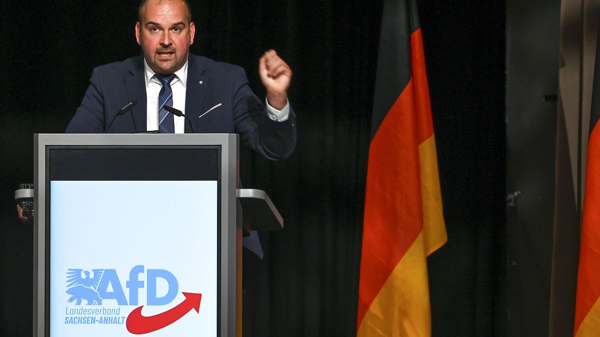 Sachsen-Anhalt AfD-Landtagsfraktion nimmt Daniel Roi wieder auf