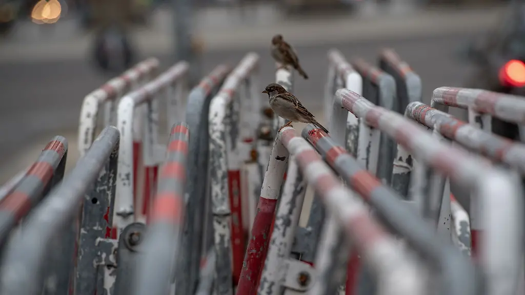 Wegen-des-Besuchs-eines-hochrangigen-Staatsgastes-kuendigte-die-Polizei-umfangreiche-Sicherheitsmassnahmen-und-Absperrungen-an