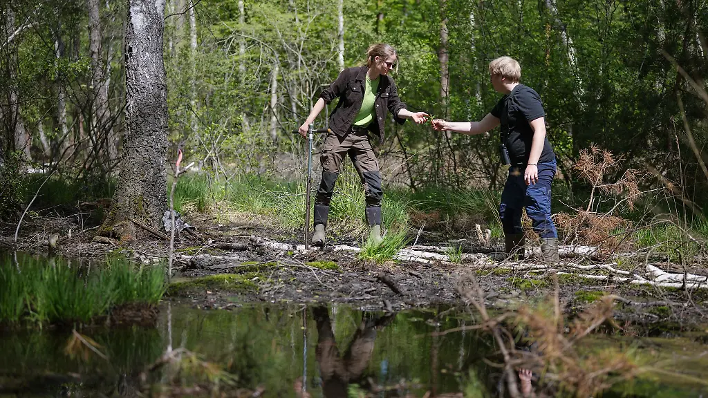 Der-Weg-durch-ein-Moor-ist-nicht-leicht