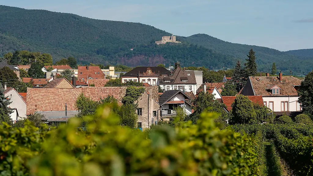 Unter-dem-Motto-Zusammen-sind-wir-Rheinland-Pfalz-begruesst-Neustadt-an-der-Weinstrasse-die-Gaeste-zum-Landesfest