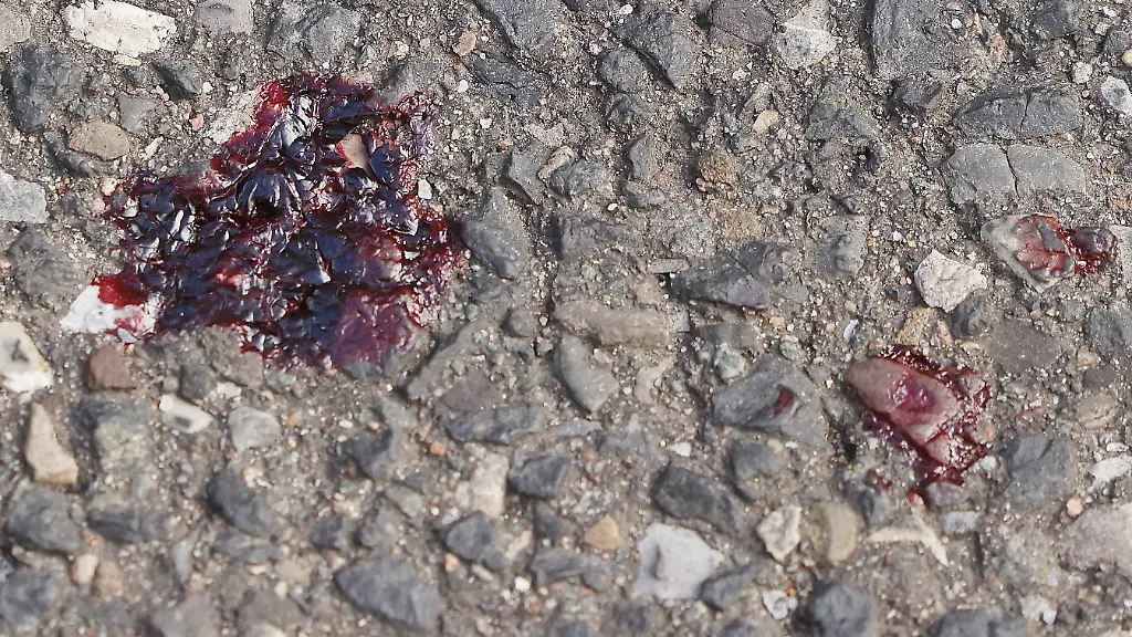 01109f90ff3578dcbbb0fc82462a5c11