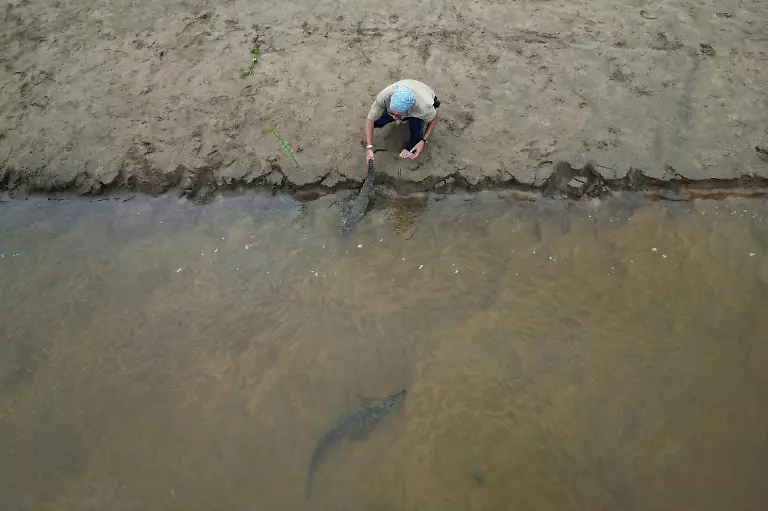 2025-05-19T110821Z-14986953-RC294EAAA293-RTRMADP-3-VENEZUELA-ORINOCO-CROCODILES