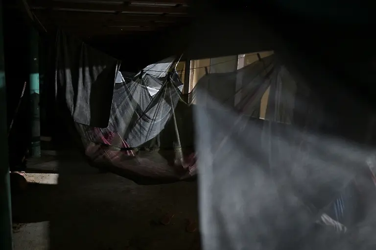 2025-05-19T110748Z-1170722726-RC214EAM43L8-RTRMADP-3-VENEZUELA-ORINOCO-CROCODILES