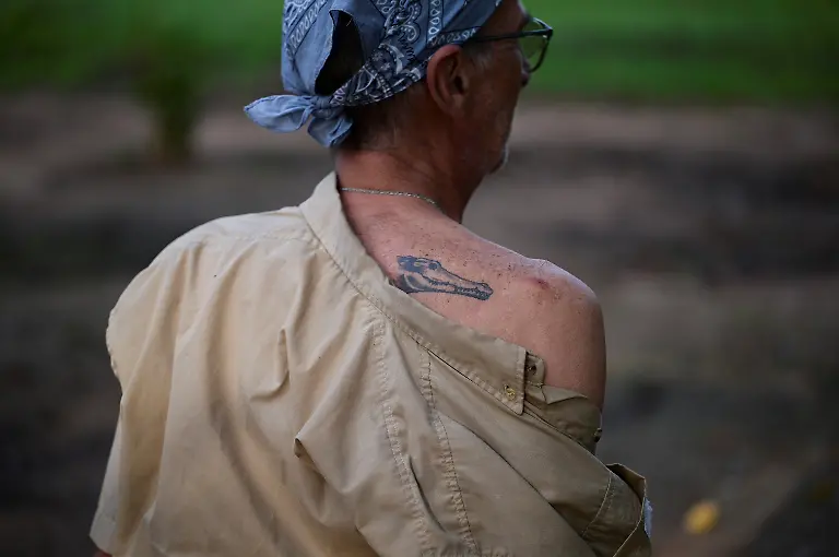 2025-05-19T110747Z-1344902981-RC2B4EAA5ZKE-RTRMADP-3-VENEZUELA-ORINOCO-CROCODILES