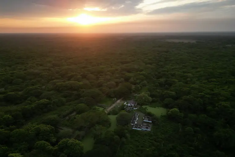 2025-05-19T110758Z-1882459150-RC2GIEAKHAZ9-RTRMADP-3-VENEZUELA-ORINOCO-CROCODILES