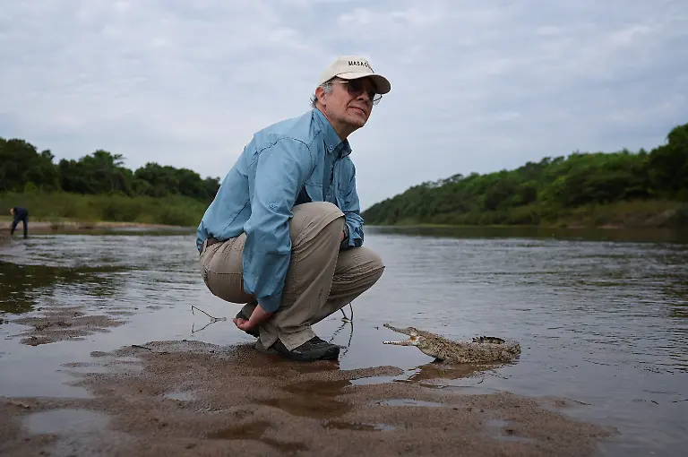 2025-05-19T110808Z-2125758000-RC2C4EAJF2PW-RTRMADP-3-VENEZUELA-ORINOCO-CROCODILES