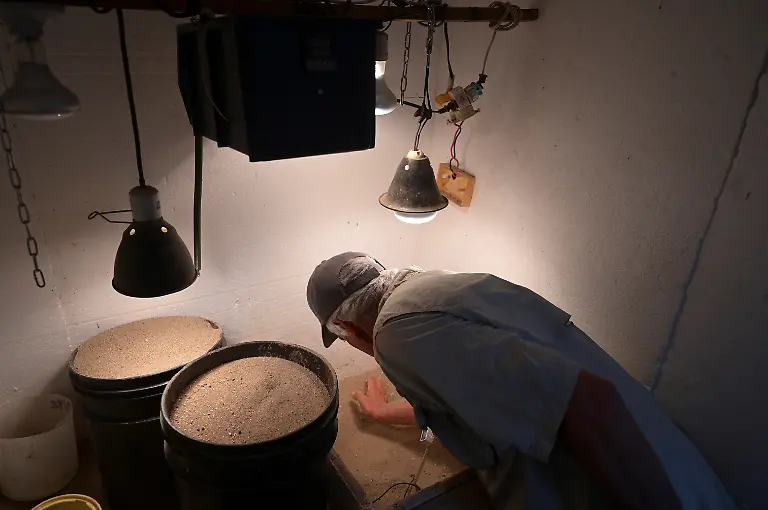 2025-05-19T110741Z-97364897-RC2L2EAO1I4O-RTRMADP-3-VENEZUELA-ORINOCO-CROCODILES