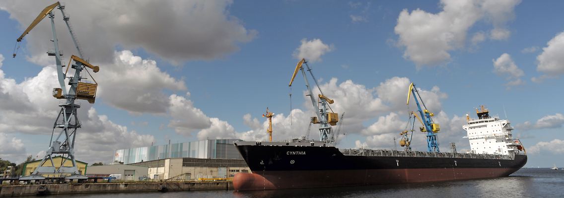 Das Containerschiff "Cynthia" wurde von einer Hamburger Reederei nach dem Insolvenzantrag nicht mehr abgenommen.