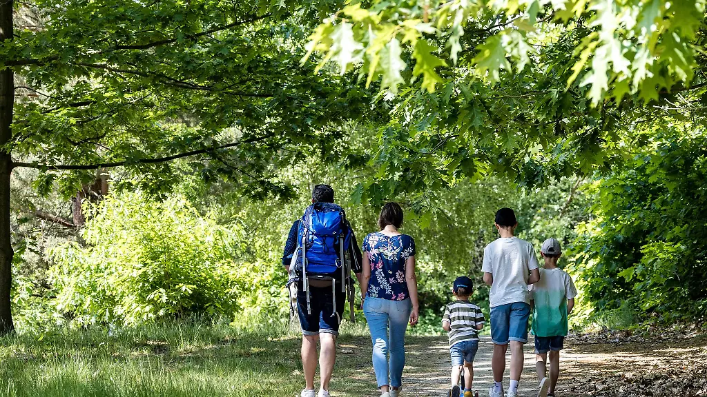 In-rund-jeder-zweiten-Familie-mit-Kindern-lebt-ein-Ehepaar-mit-seinen-Kindern-zusammen
