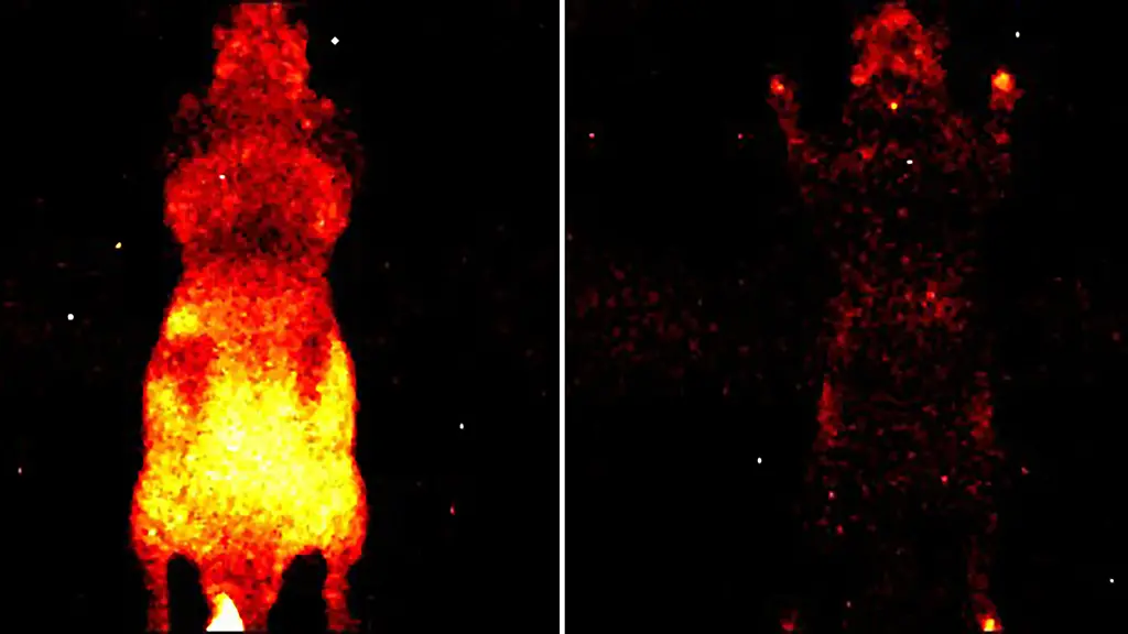 VERWENDUNG-NUR-IN-ZUSAMMENHANG-MIT-DER-STUDIE