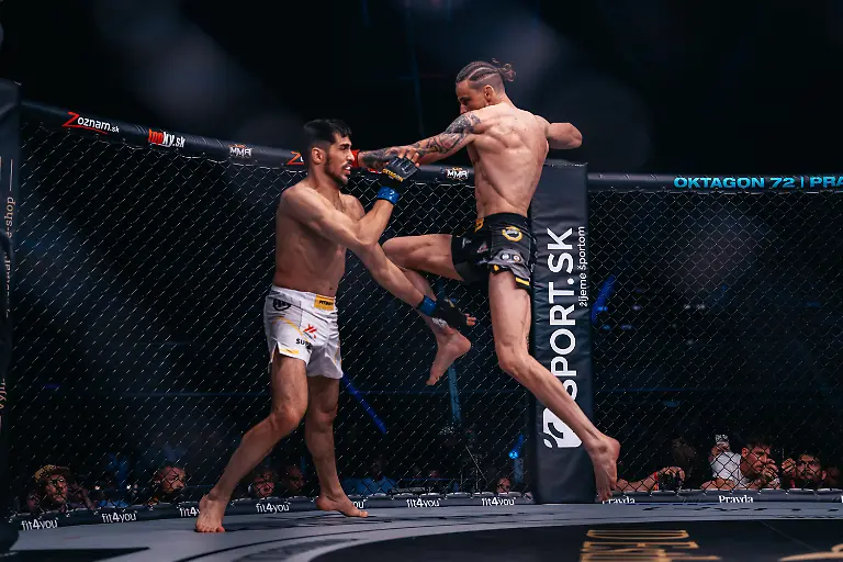 147-B1-04753-BLACKART