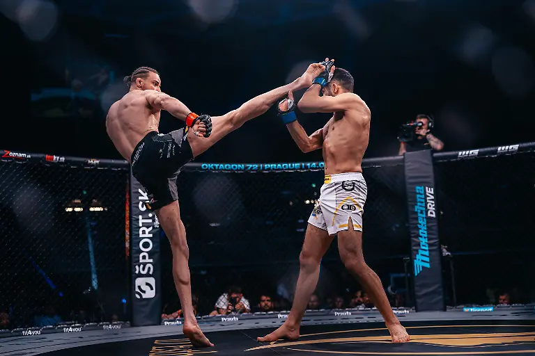 146-B1-04730-BLACKART