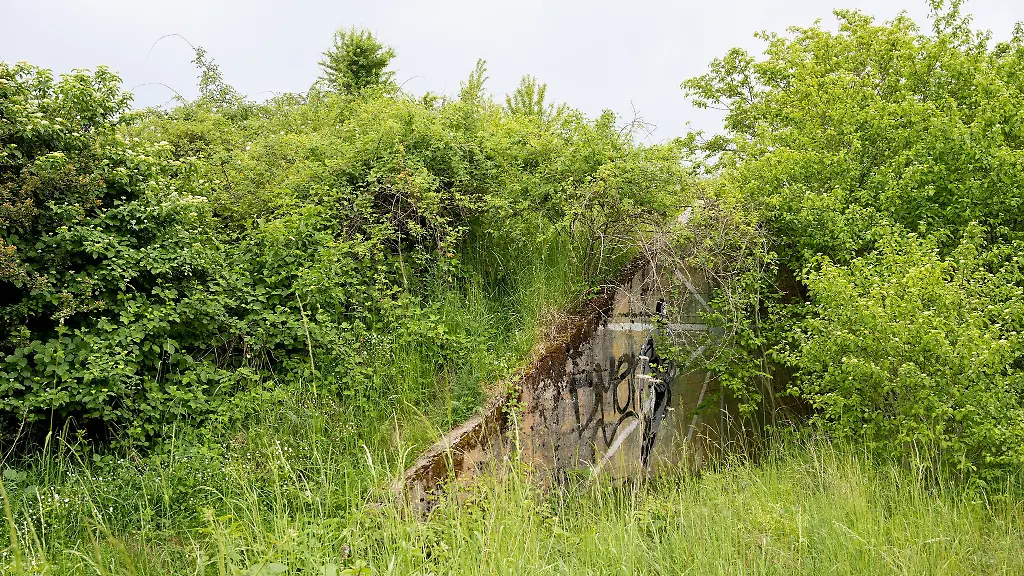 Der-Ober-Olmer-Wald-ist-von-einem-Militaerstuetzpunkt-zu-einem-Naturschutzgebiet-geworden