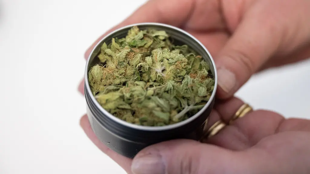 Cannabis-Abgabe-gestartet-In-Oranienburg-koennen-Mitglieder-eines-Cannabisvereins-erstmals-legal-Gras-erhalten