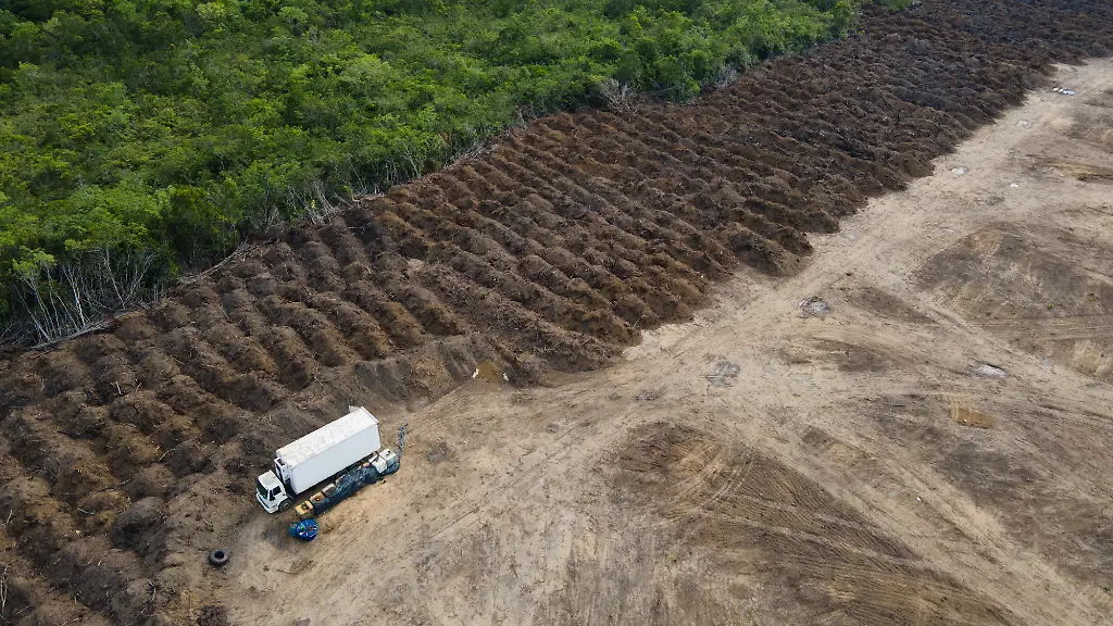 urn-binary-dpa-com-20090101-250515-935-590294-FILED