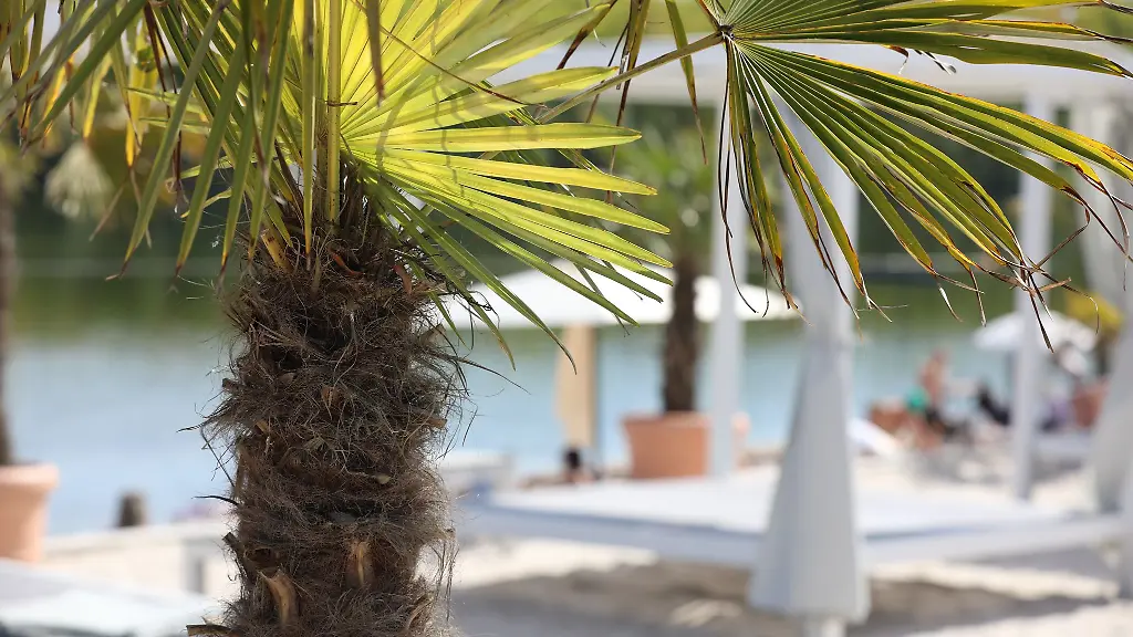 Zum-Ende-der-Woche-steigen-die-Temperaturen-in-Nordrhein-Westfalen-auf-ueber-20-Grad