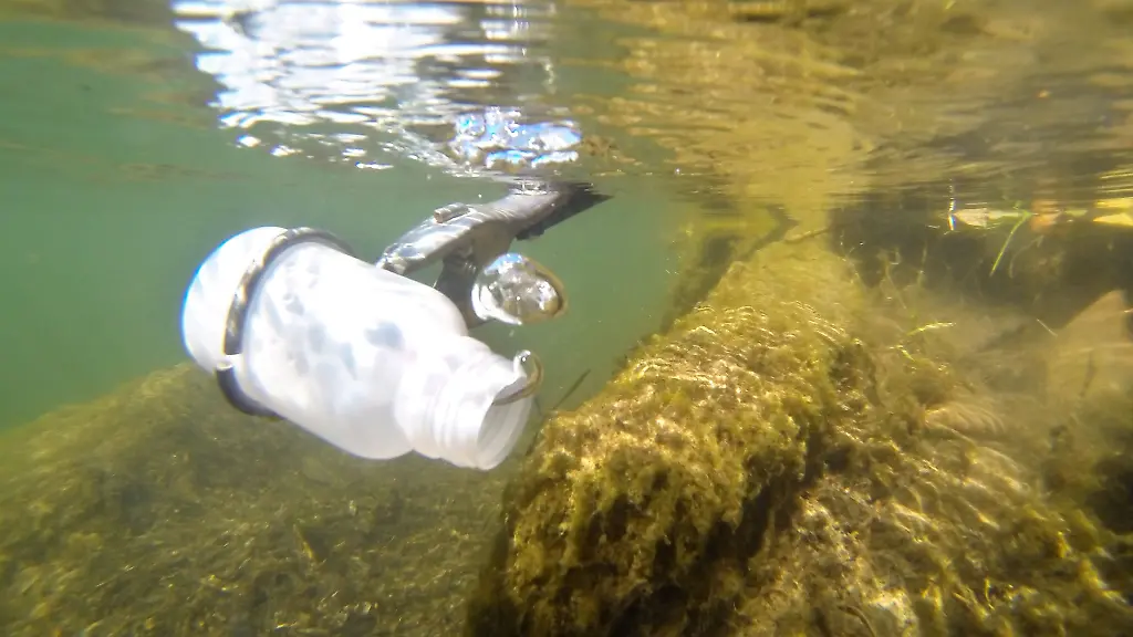 Die-Qualitaet-der-Badegewaesser-in-Niedersachsen-ist-zum-offiziellen-Start-in-die-Saison-in-der-Mehrheit-nicht-zu-beanstanden