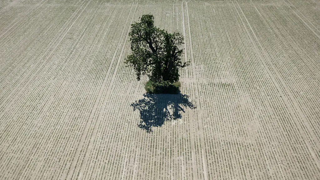 5f32380f78ea5f5bf85812fa8413080a