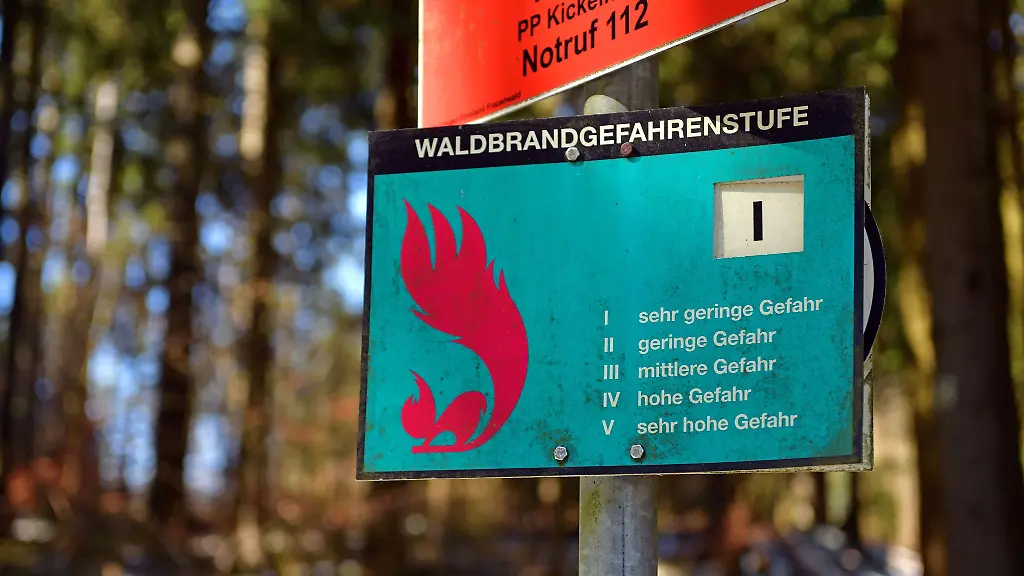 Die-durch-Braende-geschaedigte-Waldflaeche-erreichte-in-Thueringen-vergangenes-Jahr-ein-30-Jahres-Hoch-Flaechendeckende-Fruehwarnsysteme-haelt-der-Landesforstbetrieb-dennoch-fuer-unnoetig