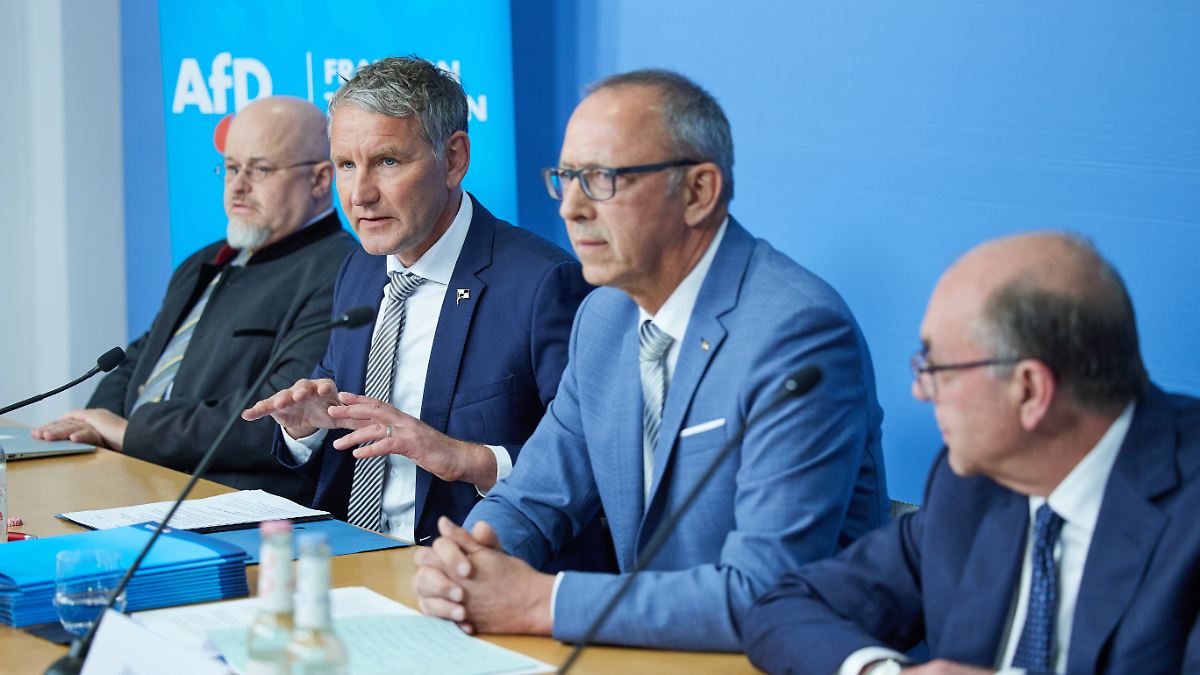 AfD zieht neue Verteidigungslinie: "Höcke will das Recht, zu sagen, was er möchte"