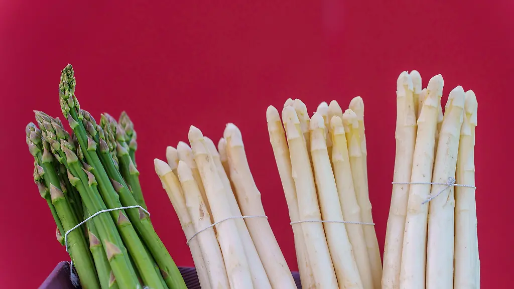 Die-Zahl-der-Spargelbauern-hat-in-den-vergangenen-Jahren-abgenommen