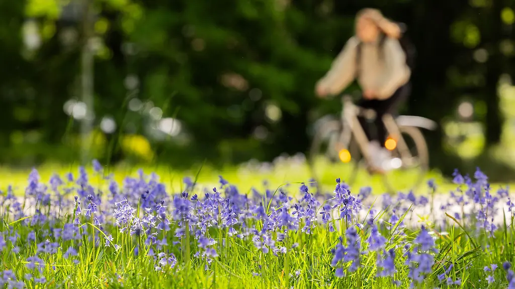 Das-sommerliche-Wetter-vom-Wochenende-bleibt-den-Menschen-in-NRW-erhalten-Die-Temperaturen-bleiben-dem-DWD-zufolge-konstant