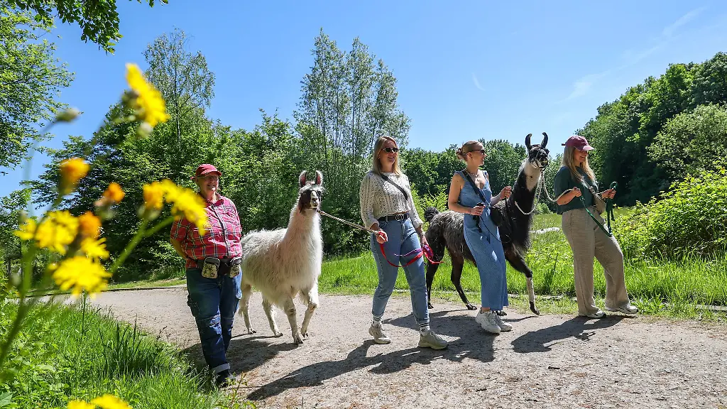 Wie-lang-die-Wanderung-werden-soll-bestimmen-die-Wanderer