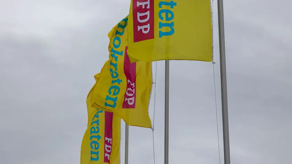 Die-Schweriner-FDP-unterstuetzt-eine-parteiinterne-Initiative-mit-der-die-sogenannte-Brandmauer-auch-gegenueber-der-AfD-infrage-gestellt-wird