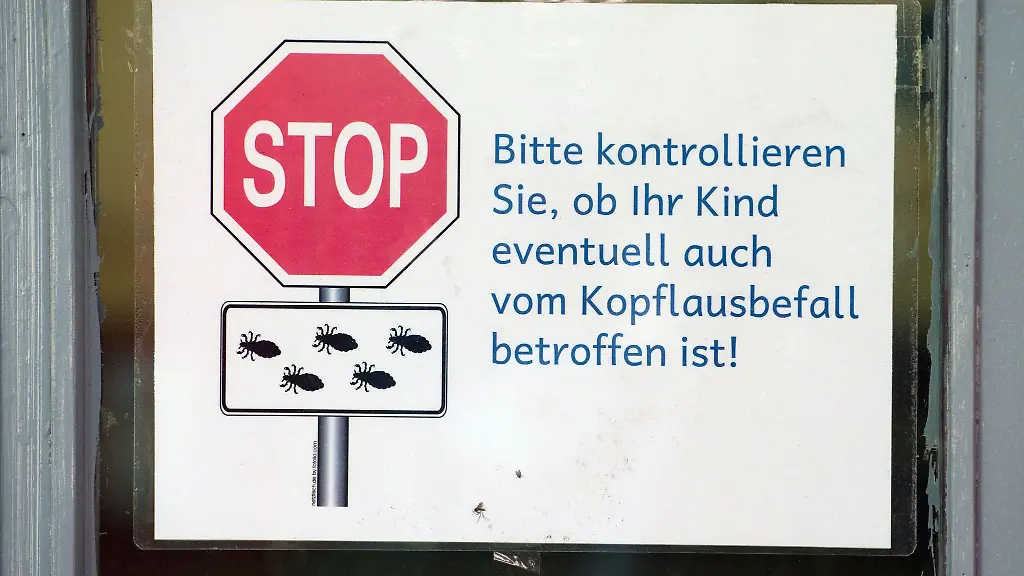 Aerzte-in-MV-stellen-haeufiger-Rezepte-gegen-Laeusebefall-bei-Kindern-aus-Fuer-die-Barmer-Krankenkasse-ein-Indiz-dass-die-unliebsamen-Parasiten-in-Kitas-und-Schulen-wieder-zugenommen-haben