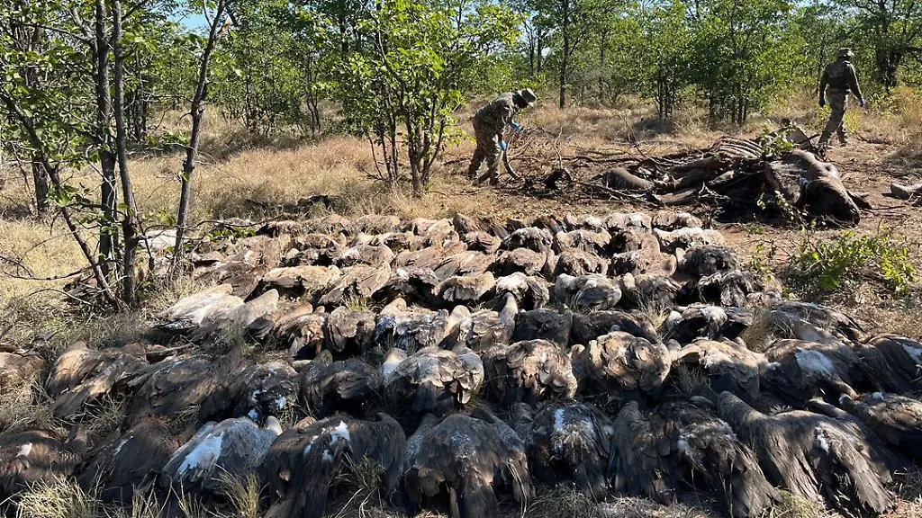 91990d95020277637dfd34f34329fd09