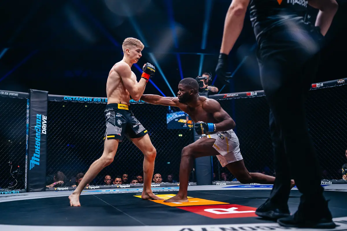 114-B1-09294-OKT68-BLACKART