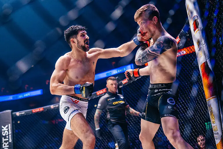 172-B1-02341-BLACKART-OKT65