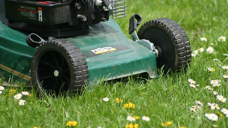 Rasenmähen, Hecken schneiden und Unkraut jäten - Gartenmieter haben zu tun.