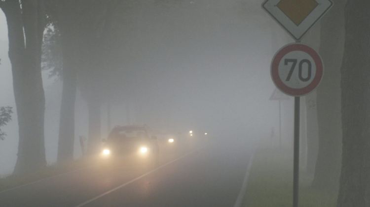 Bei Nebel heißt es Fuß vom Gas.