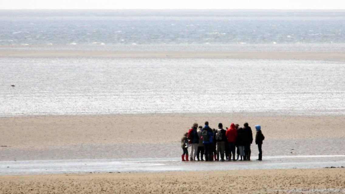 Gruppe von Wattwanderern im Watt vor Föhr.
